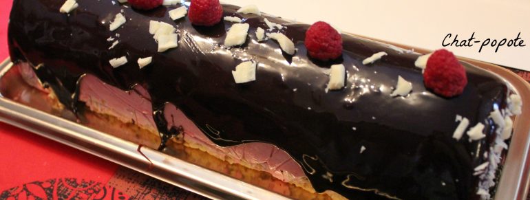 Bûche Framboise/Pistache (bûche 2015)