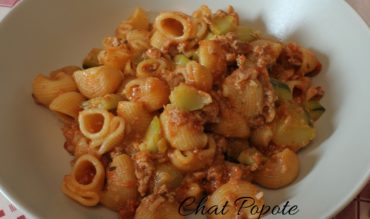 One pot pasta au thon et courgettes (cookeo)
